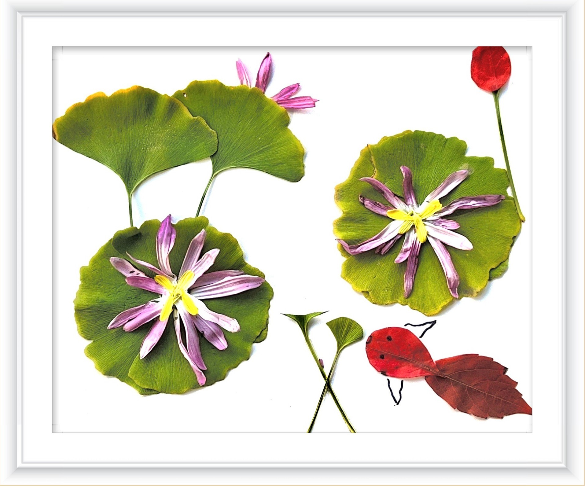 《一路清莲》作者：张颖蕊_副本.jpg